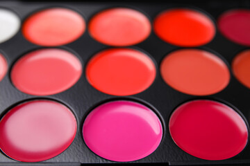 Cream lipstick palette as background, closeup. Professional cosmetic product