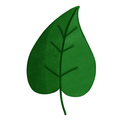 Green leaf 