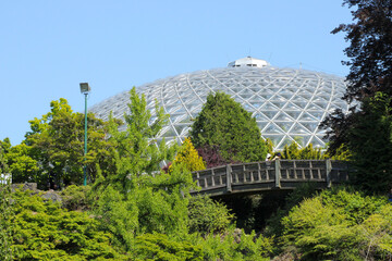 Wooden Bridge Dome Building 04