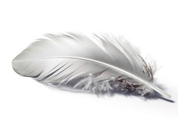 Image of chicken feather on white background. Farm animals. Illustration. Generative AI.