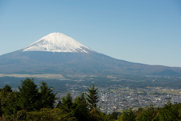 Fototapeta premium 乙女峠からの富士山