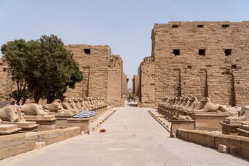 ruins of the ancient city