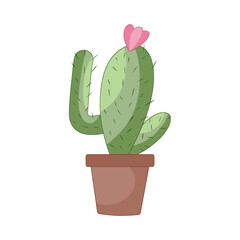 Cactus Illustration 