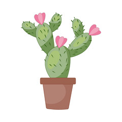 Cactus Illustration 