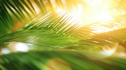 Obraz premium Blur beautiful nature green palm leaf on tropical beach with bokeh sun light wave abstract background. Generative Ai