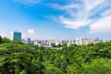 Singapore City in forest with airplane blue sky, View point from Henderson Wave, Singapore