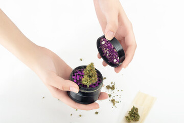 In female hands, a grinder with a dry bud of medical marijuana.  Pieces of cannabis are scattered on a white background, next to the paper for the joint