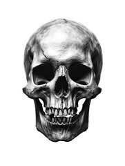 Realistic Skull, Logo, Wall Art, Bones, Halloween. Generative AI