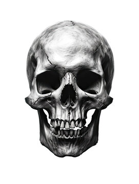 Realistic Skull, Logo, Wall Art, Bones, Halloween. Generative AI