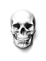 Realistic Skull, Logo, Wall Art, Bones, Halloween. Generative AI