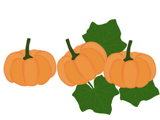 pumpkins on a white background.