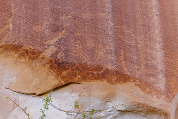 Petroglyph Panels in Capitol Reef National Park near Fruita, Utah during spring. Selective focus, background blur and foreground blur. 
