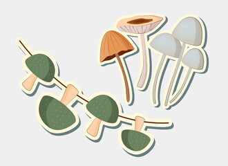 Different mushrooms stickers. Vector stickers mushrooms.