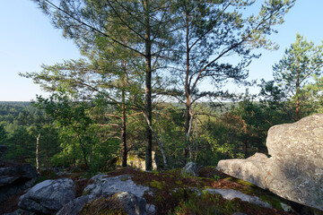 Fototapeta na wymiar Rocher de la Reine point of view in Fontainebleau forest