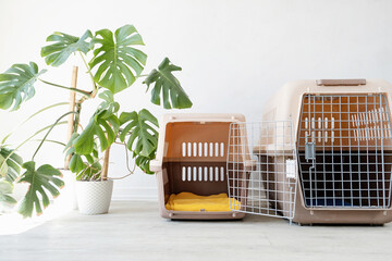 travel pet carrier, white wall background