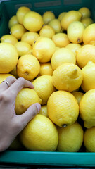 Lemons in the market are fresh.