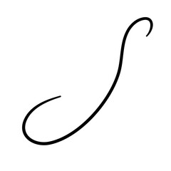 Calligraphic Flourish