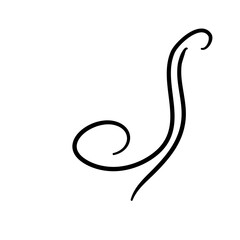 Calligraphic Flourish