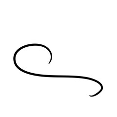 Calligraphic Flourish