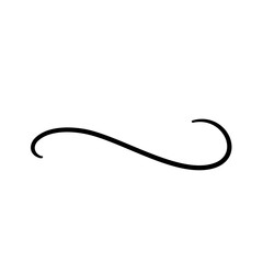 Calligraphic Flourish