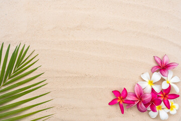 Palm leaf and plumeria flowers on sand beach background with copy space.