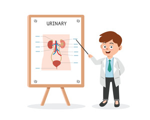 Urinary System clipart cartoon style. Doctor presenting human urinary system chart at medical seminar flat vector illustration hand drawn style. Hospital, medical, doctor conference concept