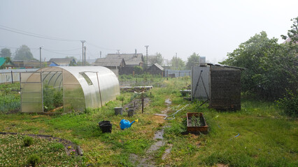 Fototapeta na wymiar village garden with a greenhouse during the rain