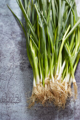 bunch of green onions, scallion 