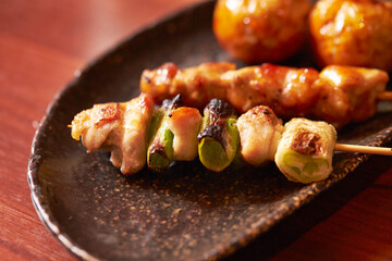 Grilled chicken skewers, seasoned chicken