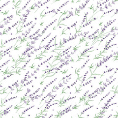Hand drawn seamless pattern with shining glowing line art provance diagonal  purple lavender flowers.Floral spring summer botanical backdrop on white background.