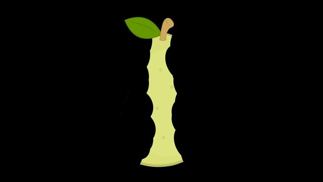 video animation bites of eating a pear fruit, on a transparent background with zero alpha channel