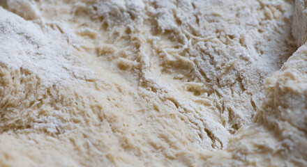Dough made from natural sourdough. Gluten structure texture close up. Baking at home bread making.