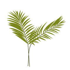 Palm leaf illustration, aesthetic leaf 