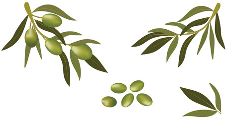 Background with olive branch and green olives. Vegetarian food and healthy lifestyle