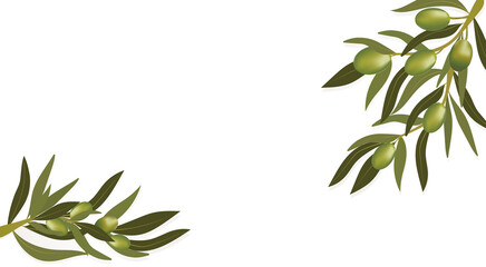 Background with olive branch and green olives. Vegetarian food and healthy lifestyle