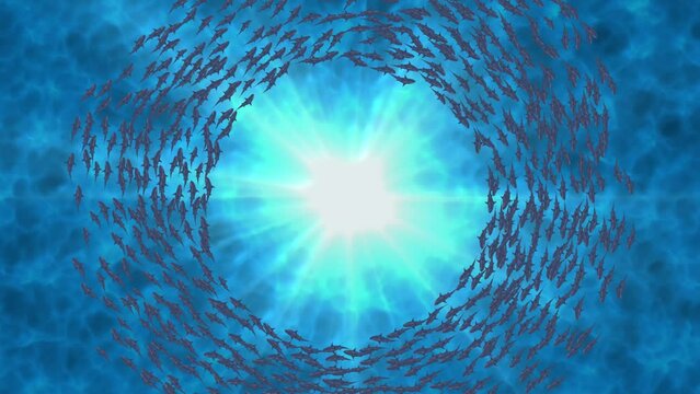 School of fish swimming in a circle with sunrays day scene