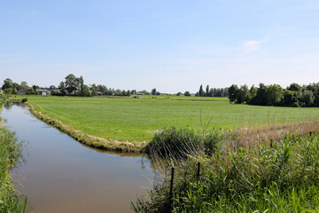 Meadows in the southern part of the Zuidplaspolder