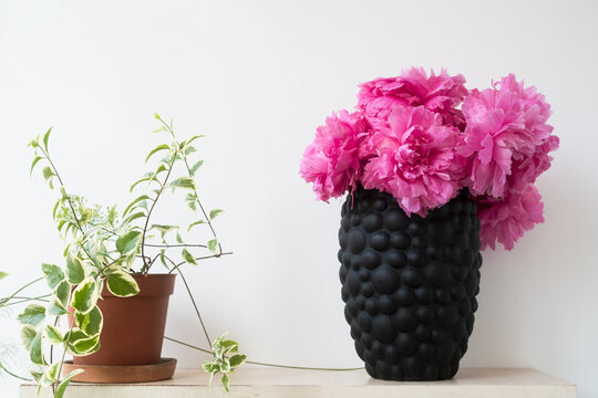 The peony or paeony pink flowers in vase at the shelf. Paeonia "Sarah Bernhardt" bouquet and flower pots on the balcony. Home gardening concept