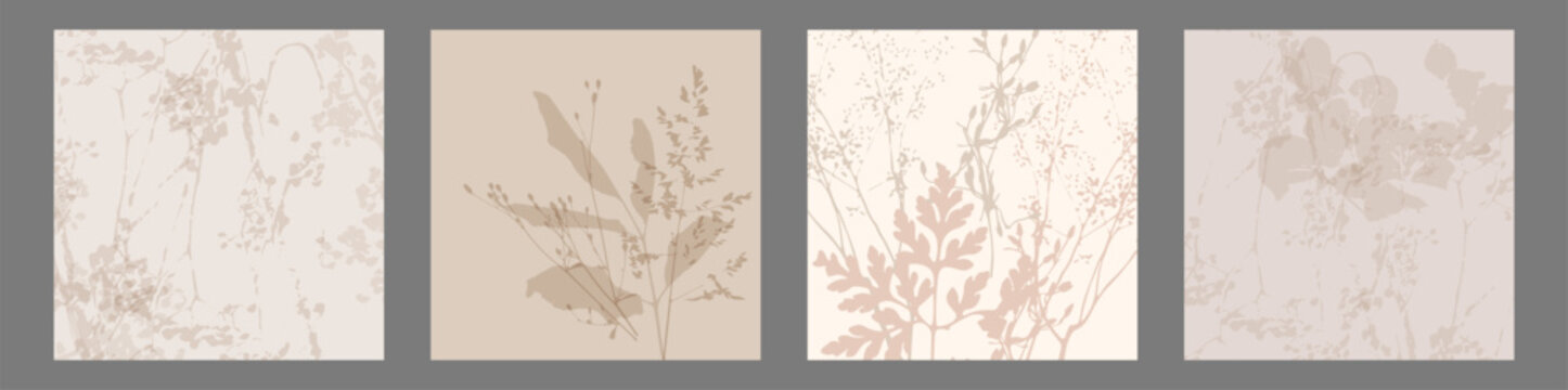 Delicate vector pattern wild flowers botanical background