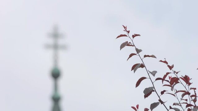 Focus transition footage of branches with leaves to the church tower with a cross on top on a windy day