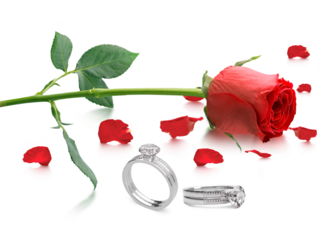 Red rose with elegant diamond ring, transparent background