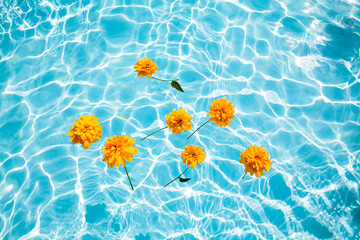 Fototapeta na wymiar Yellow flowers floating on swimming pool with clear blue water on sunny day, summer concept, for summer pool party