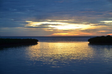 Obraz premium island,hope island, harapan island,sea,beach,white sand,flower,exotic fruit