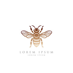 Bee  Gradient color logo  and white Background. Honey bee logo. Hand drawn engraving style illustrations. Bee logo vector minimalist graphic vector. 