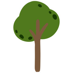 trees in the rainy season