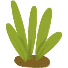 Grass that grows up from the fertile soil.