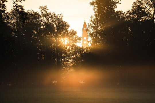 The sunlight shines through the trees of Monza Park, during a foggy autumnal sunrise