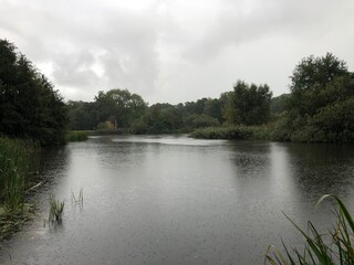 rain over the lake