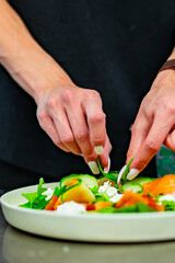chef hand decorated smoked salmon salad with cucumbers, cream cheese, arugula