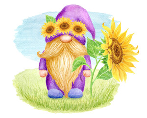 Gnome with sunflowers on green lawn isolated on white background. Holiday card design. Watercolor drawing.
